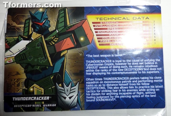 BotCon 2013   Convention Termination And Attendee Exclusives Figures Images Day 1 Gallery  (104 of 170)